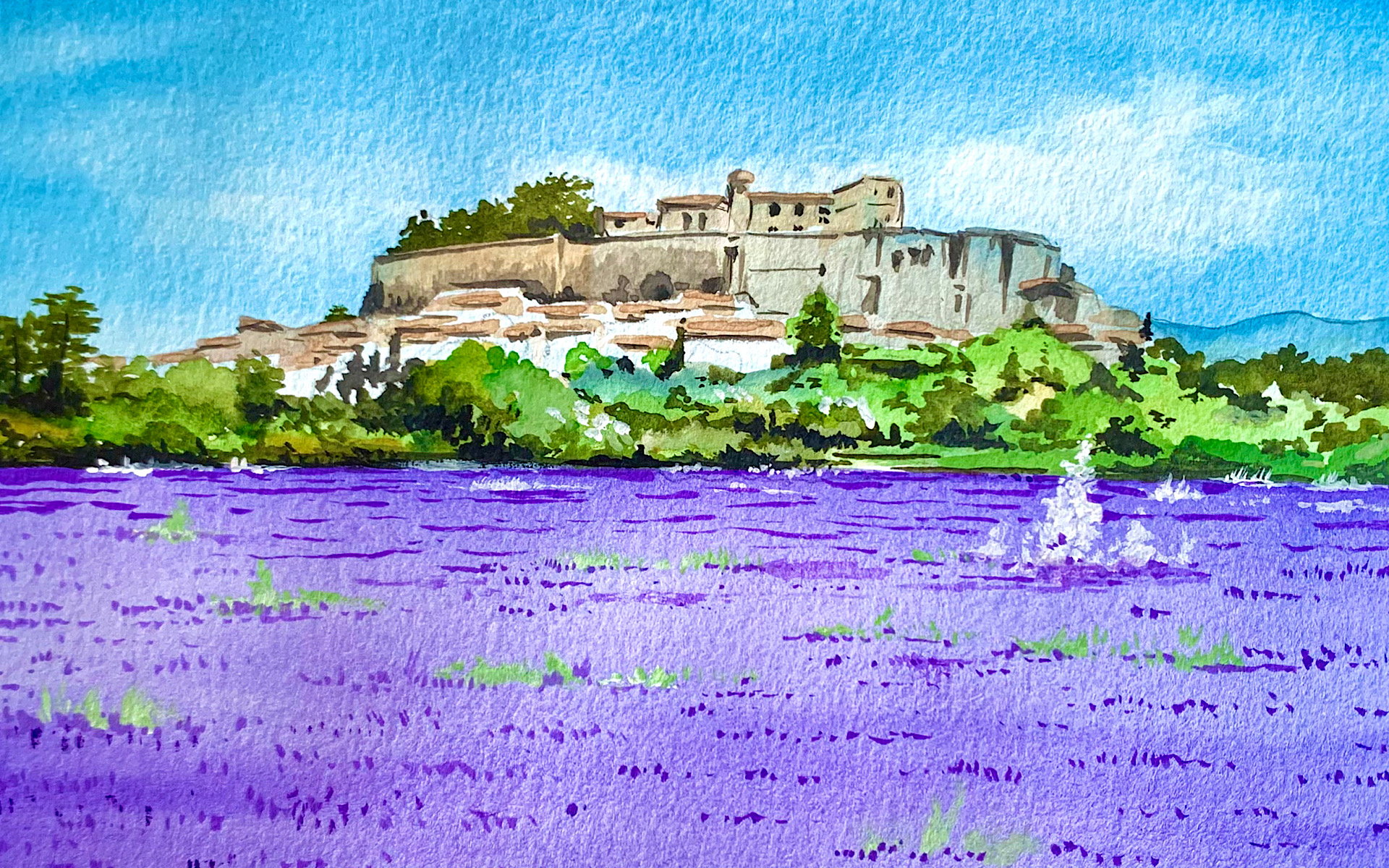 Lavender field near Grignan, Drôme, France